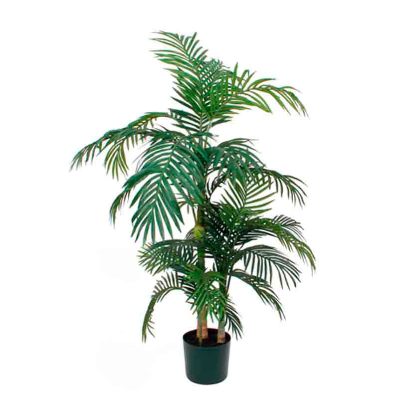 Palm Areca Golden Cane 150 cm groen - VB 933140